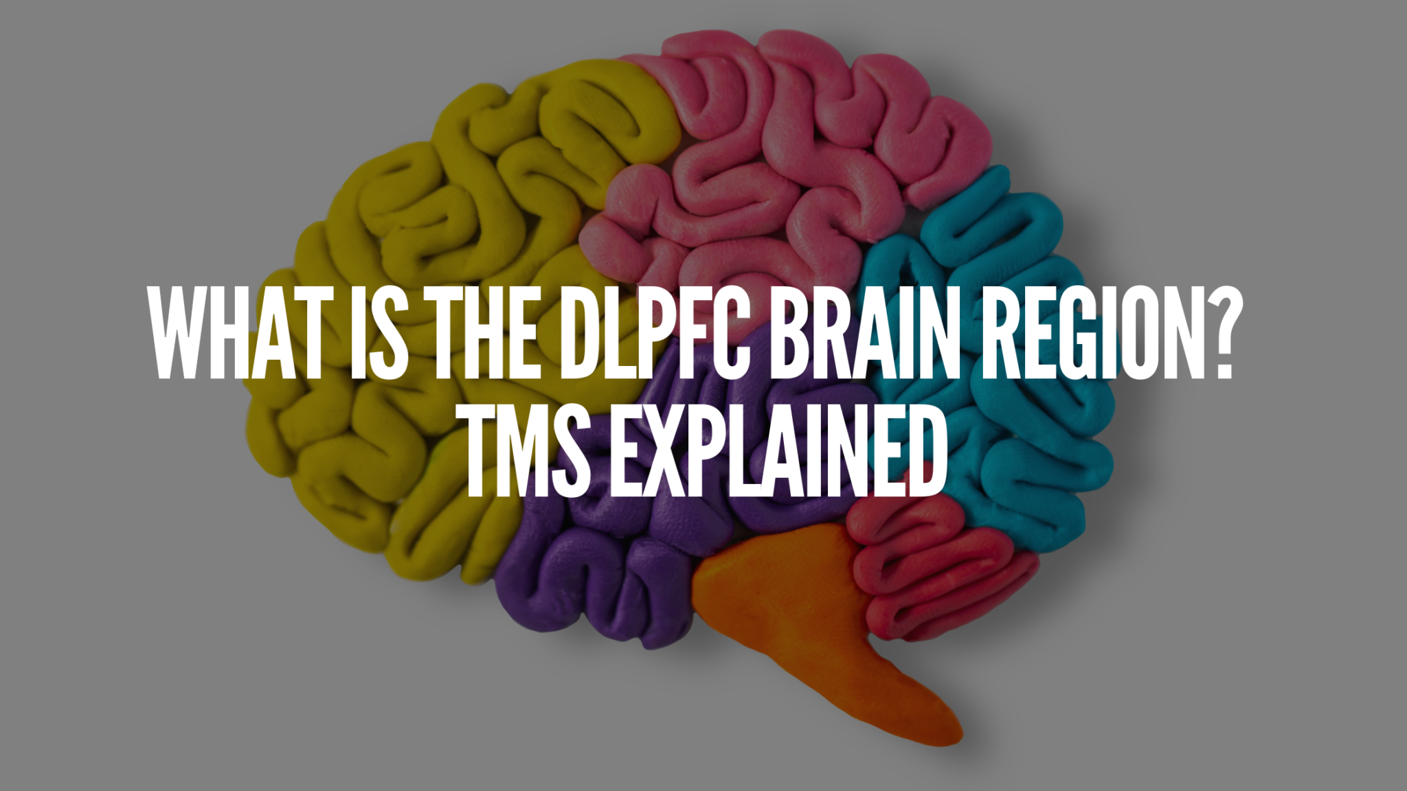 what-is-the-dlpfc-brain-region-tms-explained-psyfi-tms