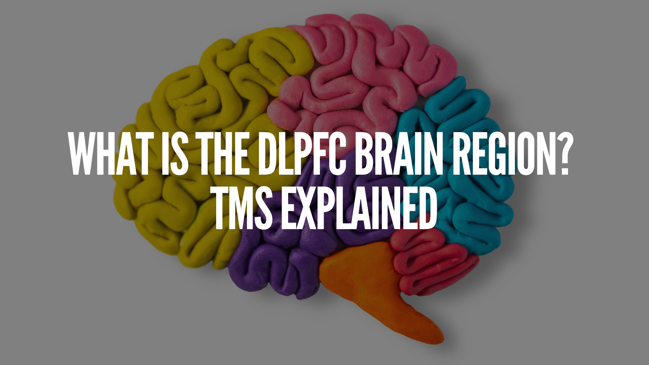 You are currently viewing What is The DLPFC Brain Region? TMS Explained